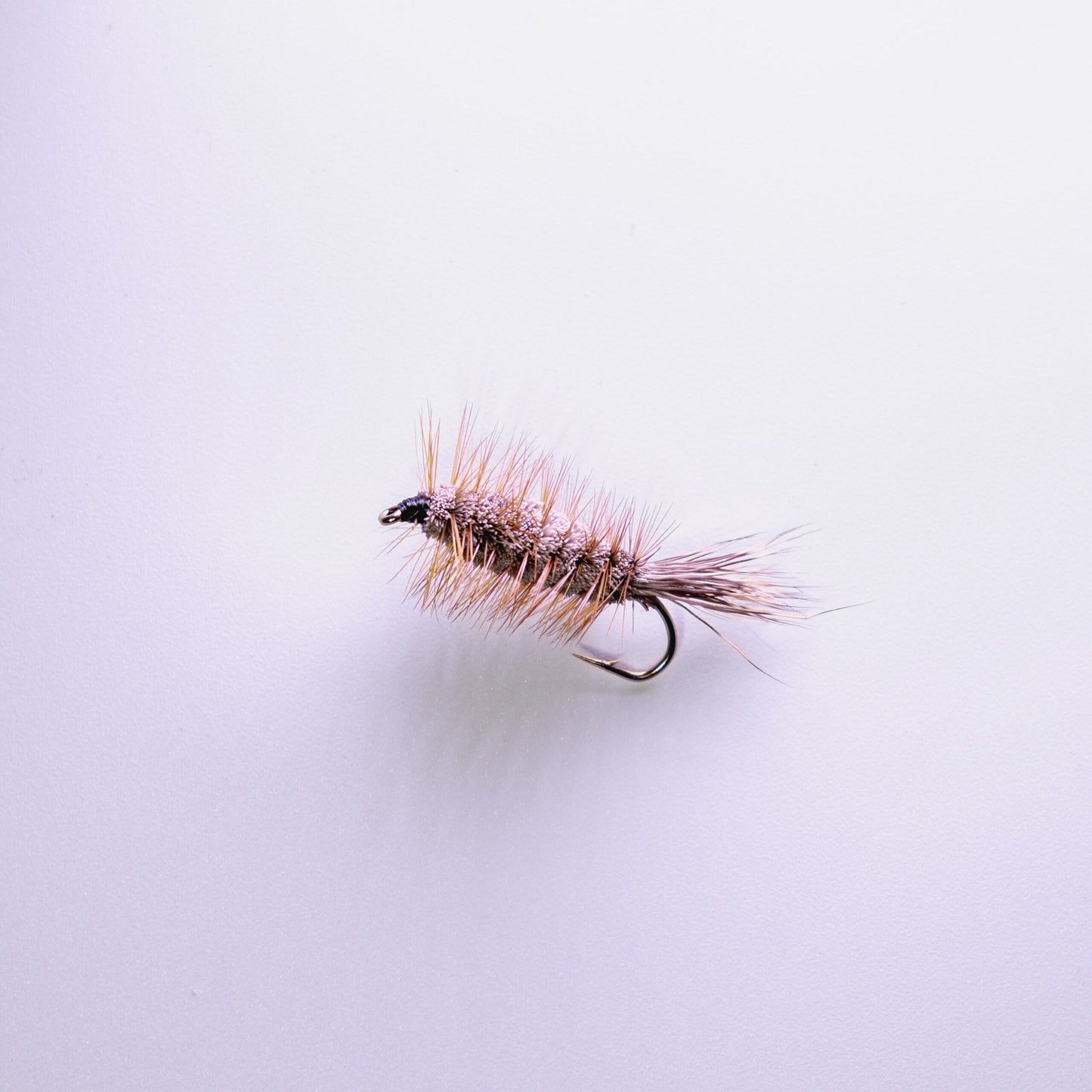 Dry Fly Brown Bug #6