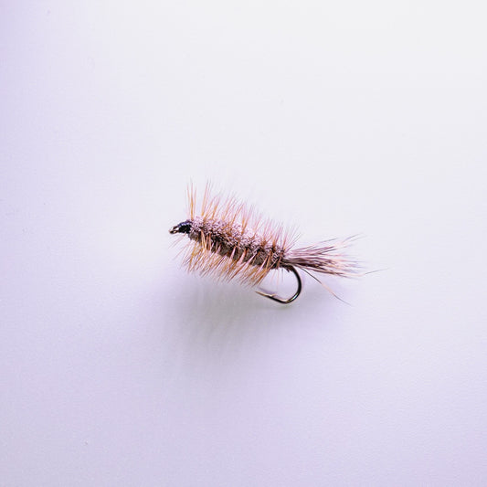 Dry Fly Brown Bug #6