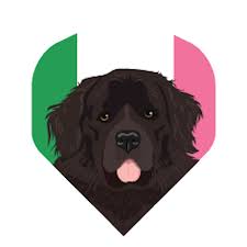 Datadart Metronic Flights Newfoundland Dog