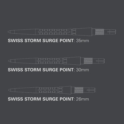 Target Darts Swiss Storm Surge Point Silver 35mm
