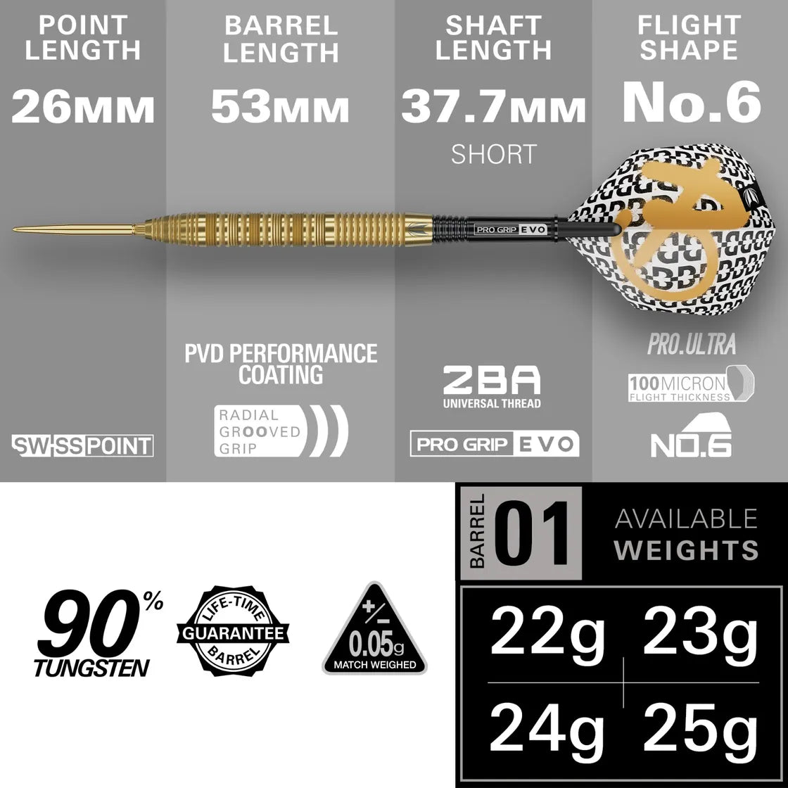 Target Darts Bolide Envy 01 SP Tungsten 24 g