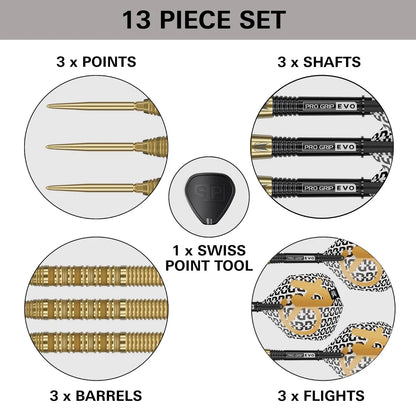 Target Darts Bolide Envy 01 SP Tungsten 24 g
