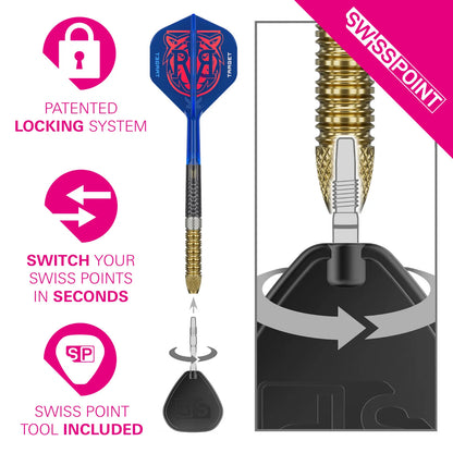 Target Darts Raymond Van Barneveld G6 Dart Set