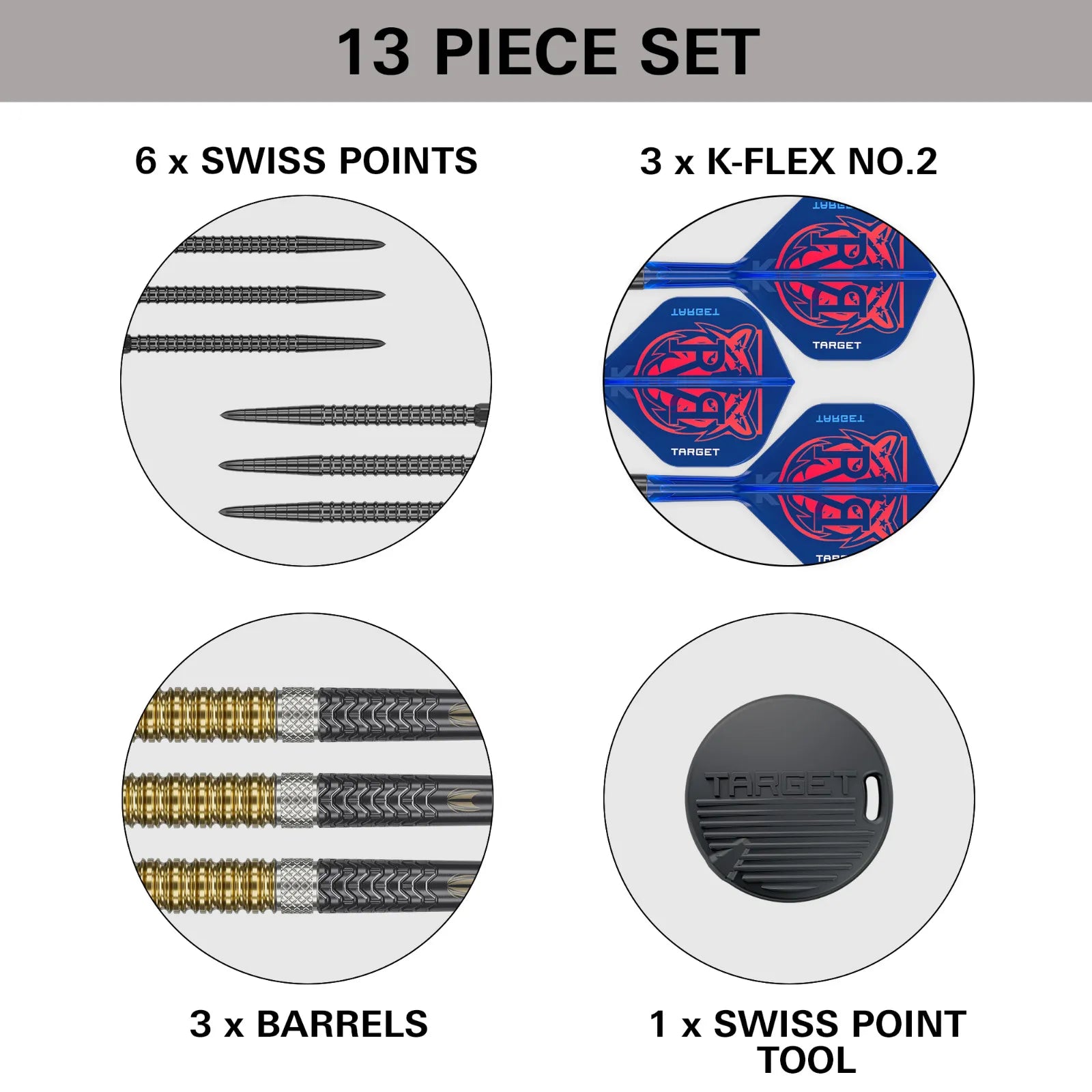 Target Darts Raymond Van Barneveld G6 Dart Set